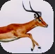 Gazelle.PNG Gazelle.PNG