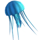 Jellyfish_Icon.webp