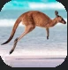 Kangaroo.PNG Kangaroo.PNG