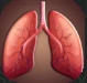 Lungs.PNG Lungs.PNG
