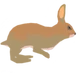 Mammal_Icon.webp