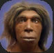 Neanderthal.PNG Neanderthal.PNG