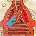 Bronze_Age_Anatomy.webp Bronze_Age_Anatomy.webp