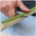 Bronze_Age_Papyrus.webp Bronze_Age_Papyrus.webp