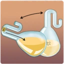 Scientific_Revolution_Pasteurization.webp Scientific_Revolution_Pasteurization.webp