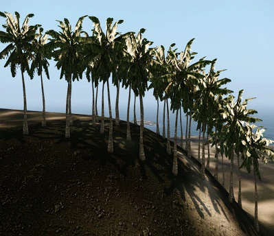 vege27.jpg vege27.jpg