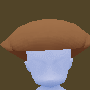 セーラの帽子茶色.PNG