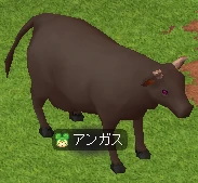 アンガス.PNG アンガス.PNG