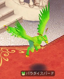 パラダイスバード床置き.png