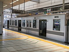 TokyoMetro03-109-doorcut.JPG
