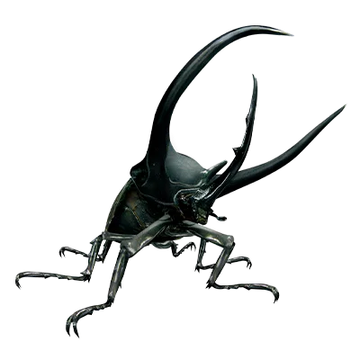 コーカサスオオカブト.png コーカサスオオカブト.png