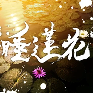 睡蓮花.png 睡蓮花.png