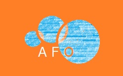 AFO3.jpg