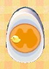 egg_03.JPG