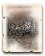 cohicons1.2-01-06.png cohicons1.2-01-06.png