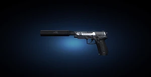 P226R Silenced.png