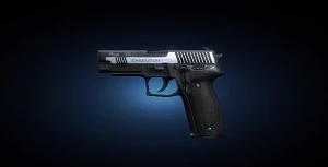 P226R.png
