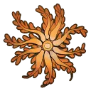 Brisingida_Starfish_Sprite.webp