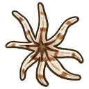 Eight_armed_sea_star_Sprite.webp