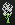 plant05.png