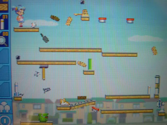 全DLステージ入り】ニンテンドーDS プレミアソフト コロぱた