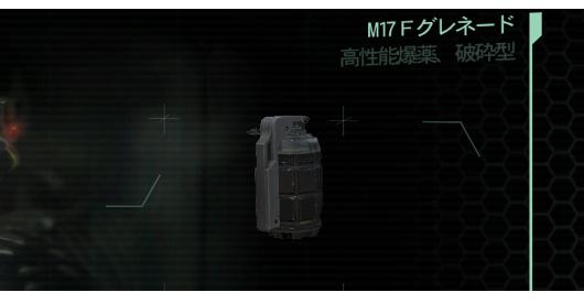 M17F.JPG
