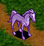 LuathasHorse.png