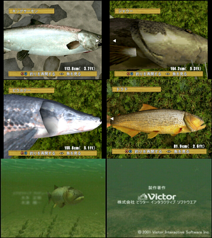 打開リスト Fish Eyes Wild 01 Dc Comp Wiki