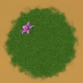 Flower.png