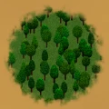 Coniferous Forest.png