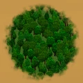 Heavy Coniferous Forest.png