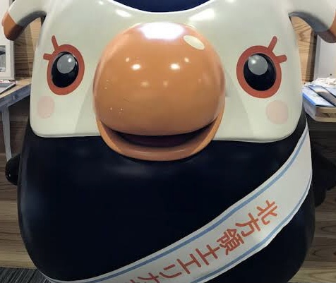 DKSGエリカ.jpeg DKSGエリカ.jpeg