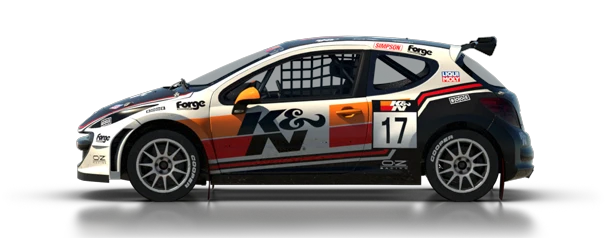 DiRT_Rally_Peugeot_207_S1600.png