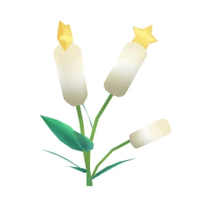 純白のアシの花.png
