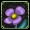 紫の花.jpg