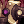 [ICON]_pipespider.png