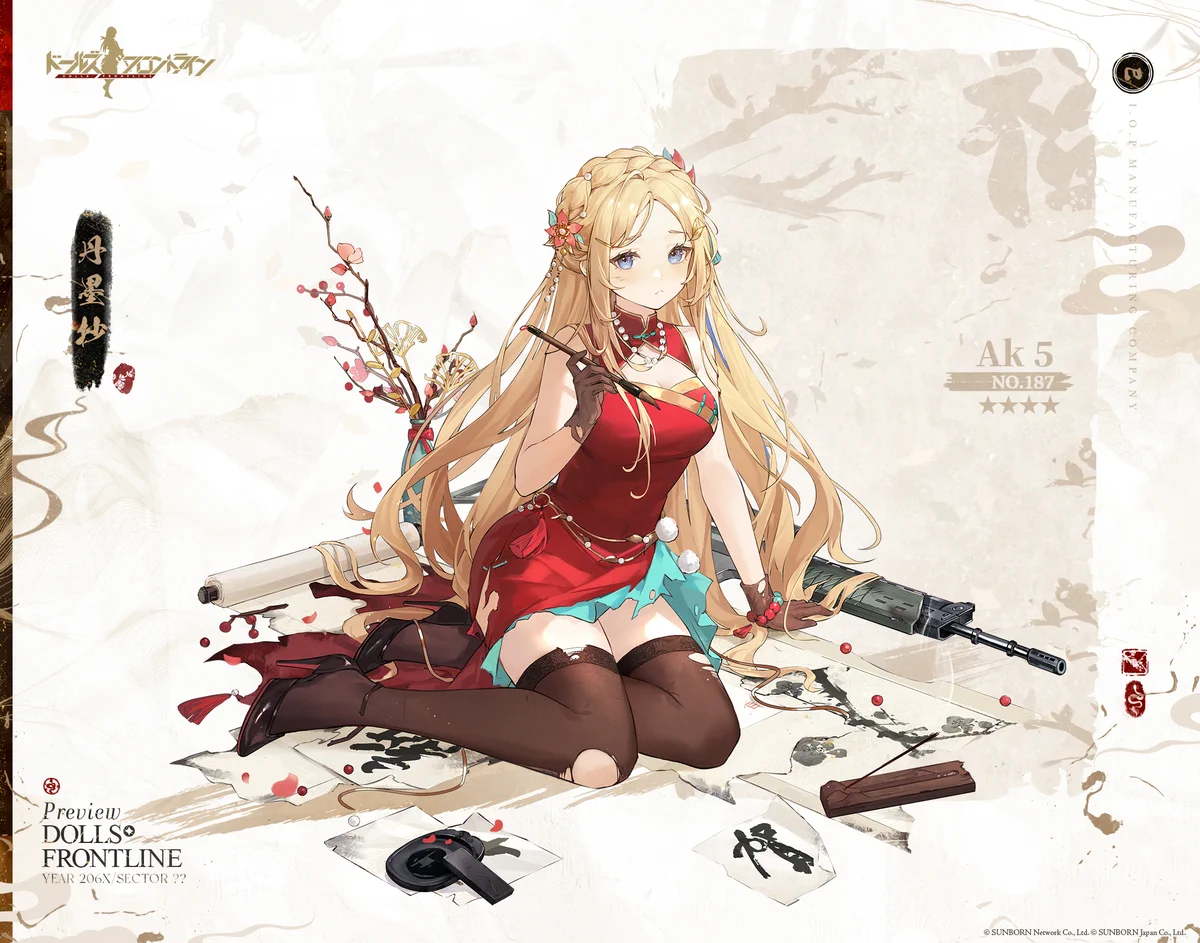 Ak 5_skin_damage.jpg