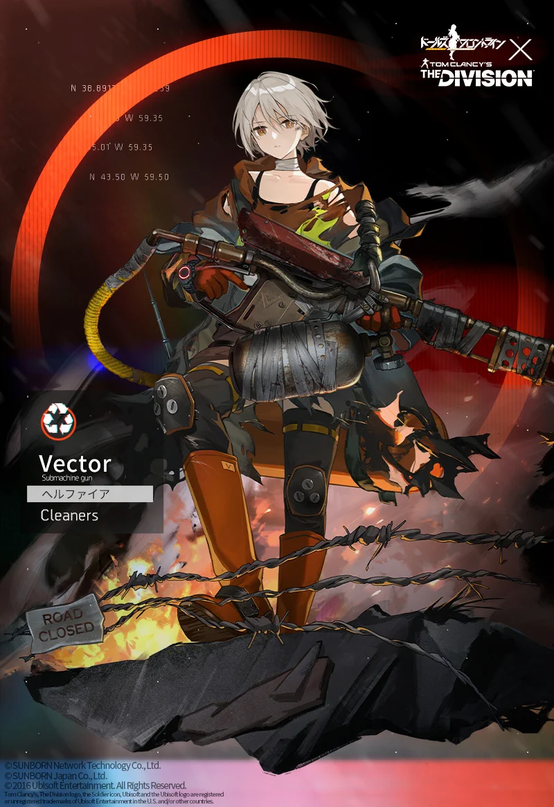 Vector_skin_damage.jpg