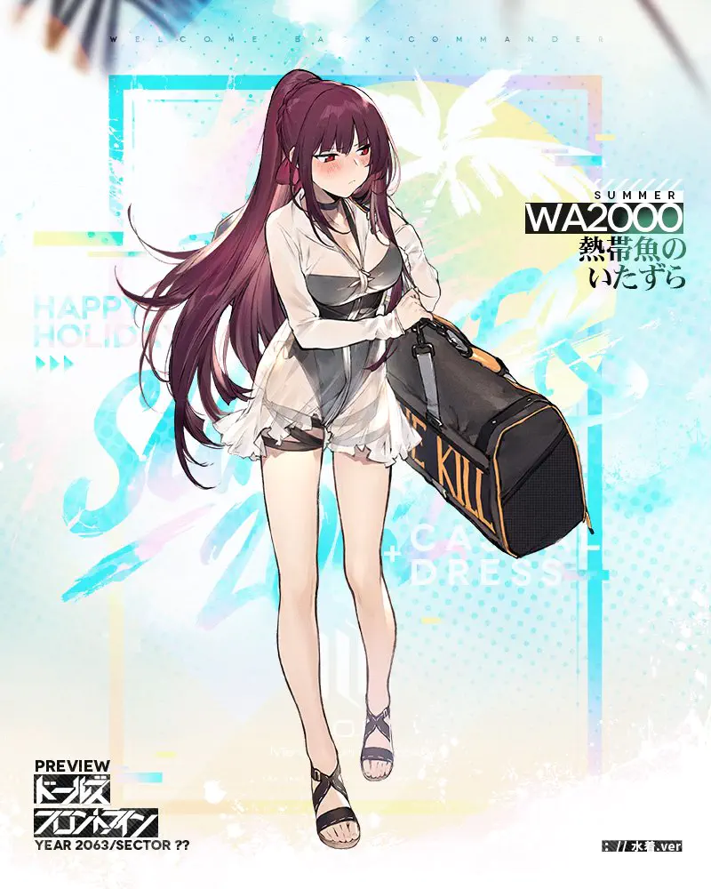 WA2000_skin.jpg