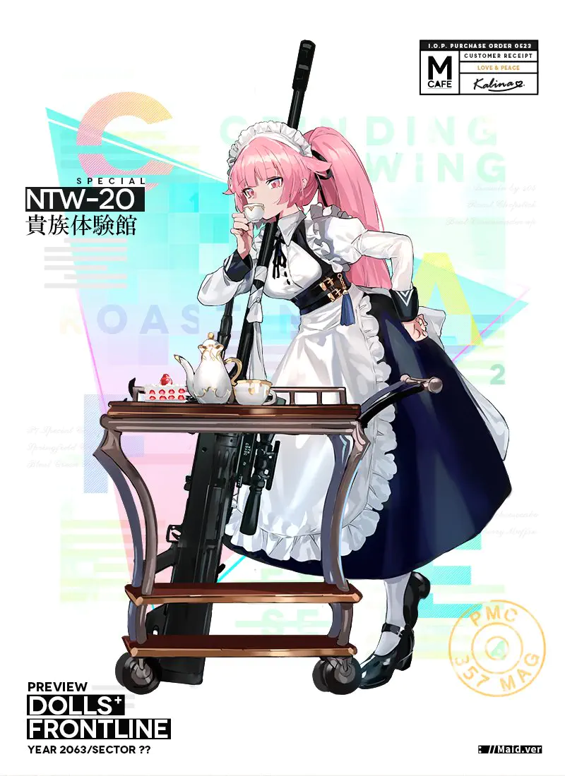 NTW-20_skin.jpg