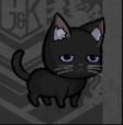 ペット-黒猫のフォア.JPG