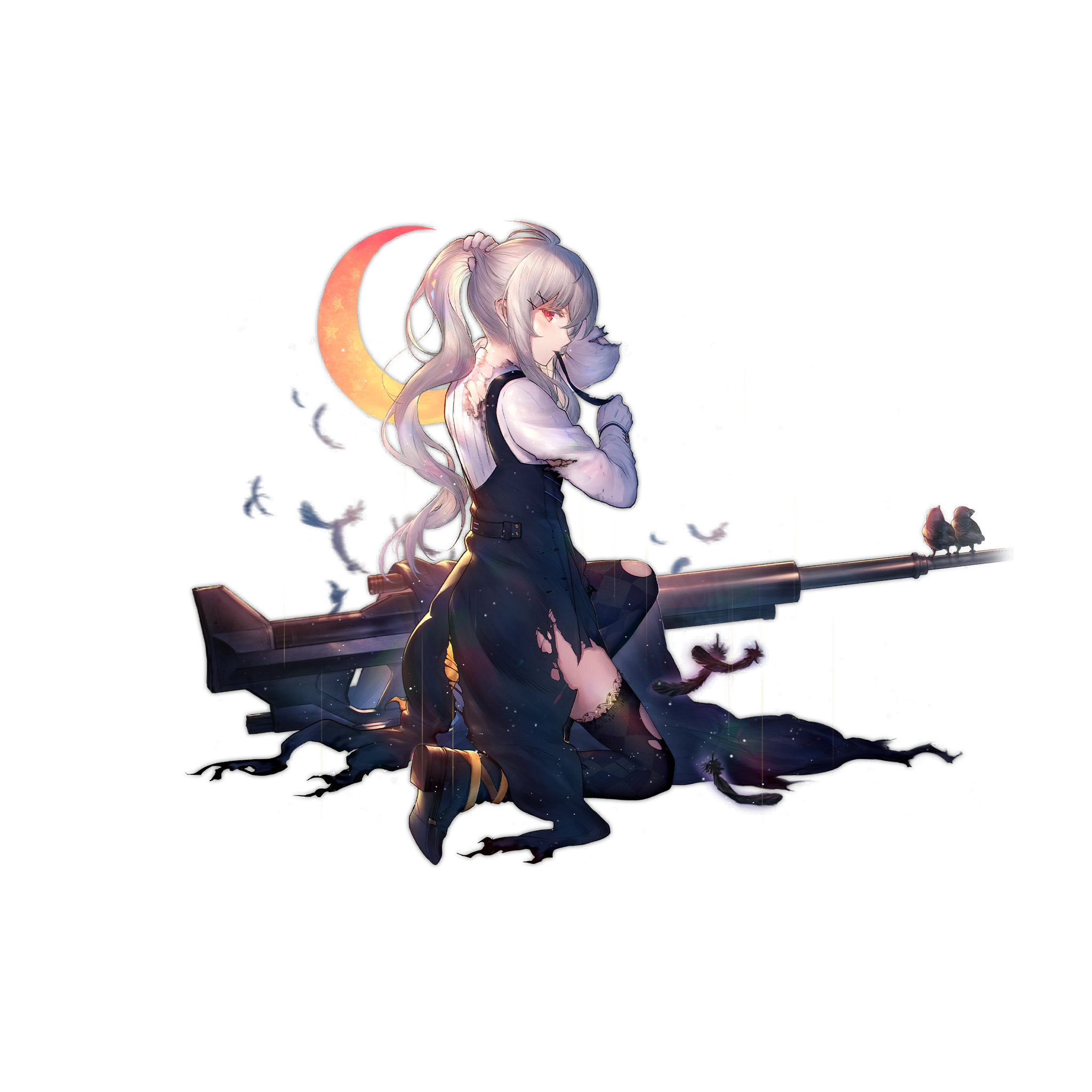 IWS 2000_skin1_damage.jpg