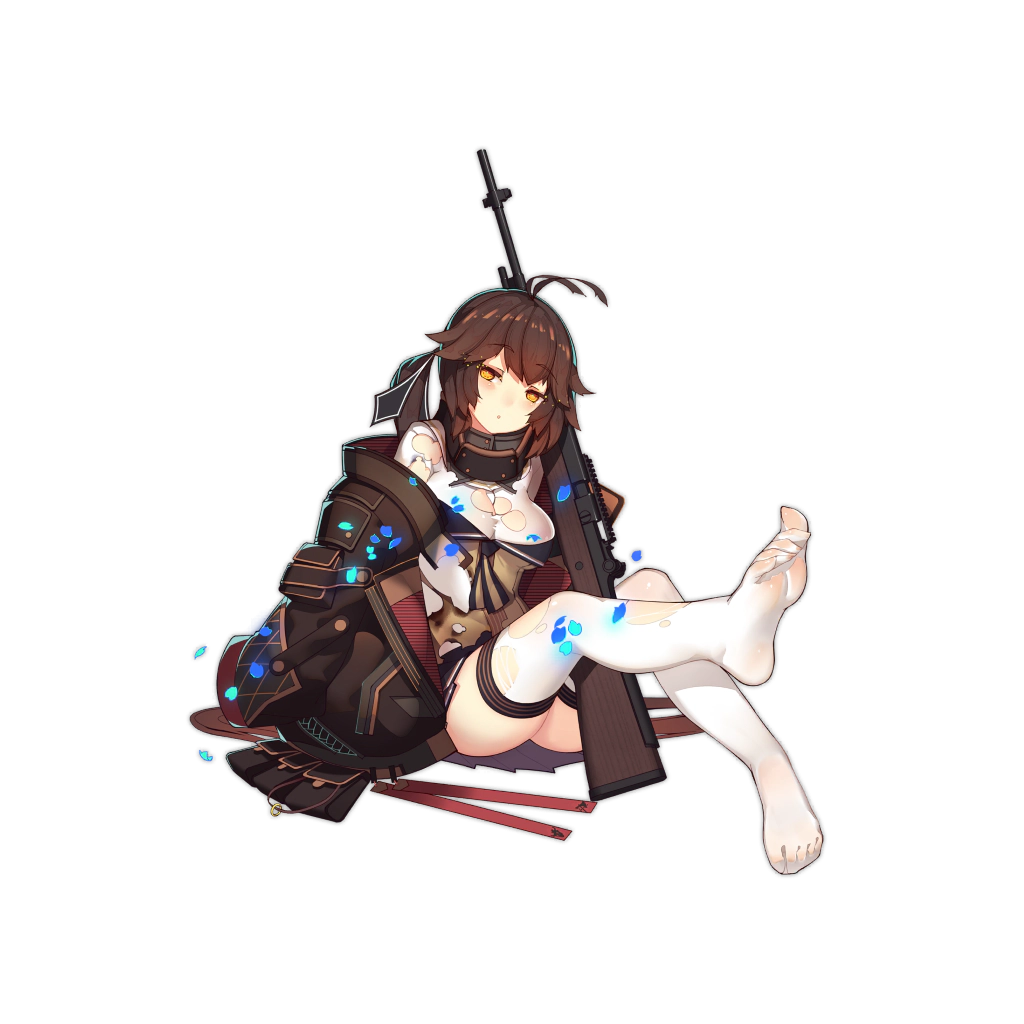 M14 MOD