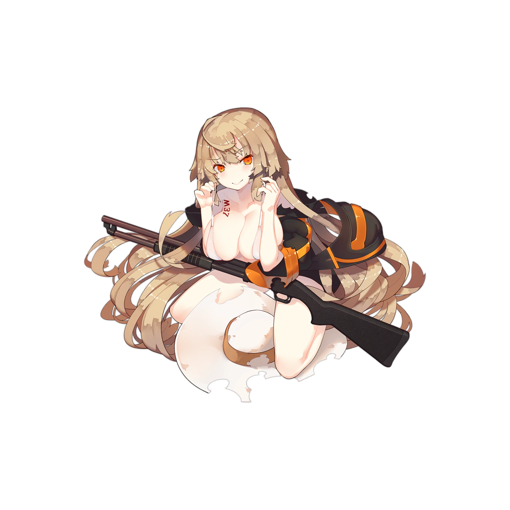 M37_skin1_damage.jpg M37_skin1_damage.jpg