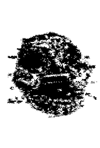 202_21.webp 202_21.webp