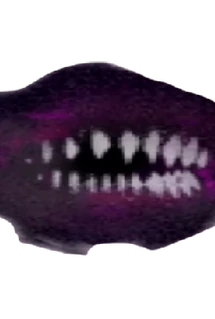 IMG_0675.webp IMG_0675.webp