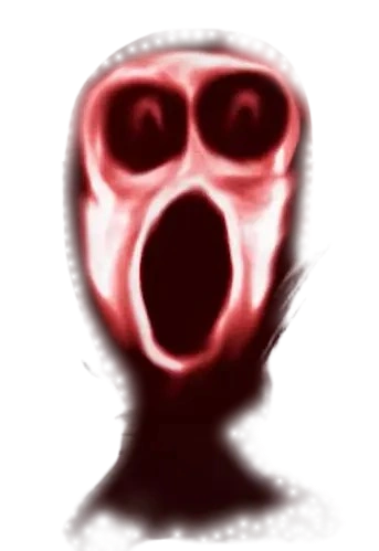 IMG_0765.webp IMG_0765.webp