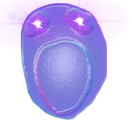 IMG_0124.webp IMG_0124.webp