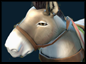 Animal Courier.png Animal Courier.png