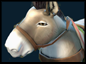 Animal Courier.png